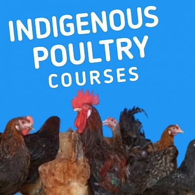 Poultry Farming Courses